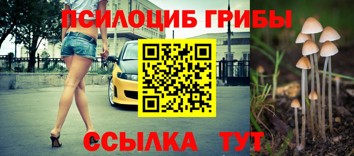 Гусиноозёрск  Псилоцибиновые грибы Psilocybine cubensis  Вход с VPN 