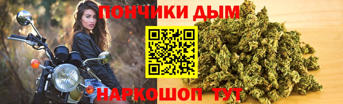 Канабис Bruce Banner Гусиноозёрск